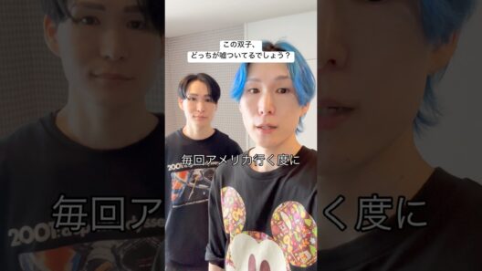 この双子、どっちが嘘ついてるでしょう？
