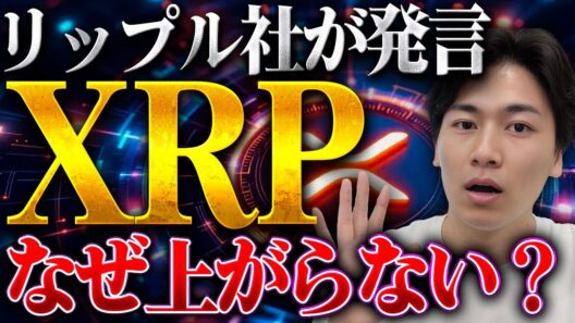 【重要】なぜXRPの価格は上がらないのか？リップル社が語った「現在」と「未来」とは