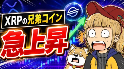 【24%上昇】リップル兄弟コインが爆上がり！なぜ？