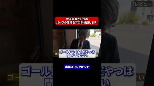【驚愕】佐々木希さん作のバッグの値段をプロが検証 #shorst #カワニシカバン