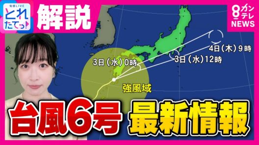 【台風6号最新情報】あす3日明け方に大阪に“最接近”　3日朝には東京に接近　全国で“線状降水帯”発生のおそれ　気象予報士・浅田さん解説｜旬感LIVE とれたてっ！〈カンテレNEWS〉