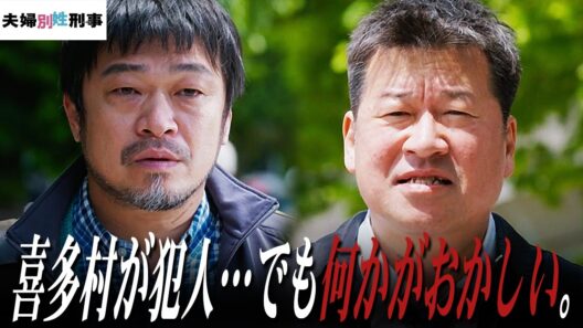 【夫婦別姓刑事】8話 拝啓、秋元康先生。これが私の最終考察です。【佐藤二朗】【橋本愛】【中村海人】