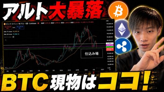 【アルトコイン大暴落】　ビットコインの現物の仕込み時は多分ココ！