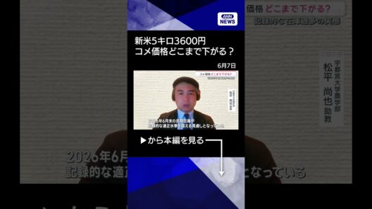 【ニュース】“日本一早い新米”販売開始「5キロ税込み3600円」来年は更なるコメ余り懸念も【サタデーステーション】(2026年6月6日) #shorts