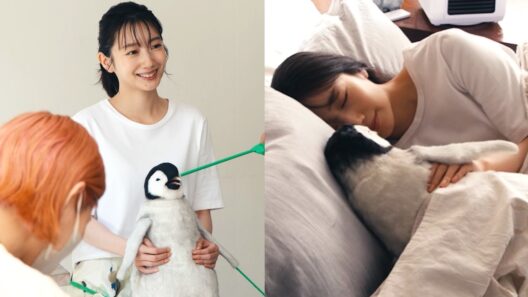 波瑠、ペンギンの「ペンちよ」をぎゅっ！愛おしそうに抱いて眠る姿がかわいい