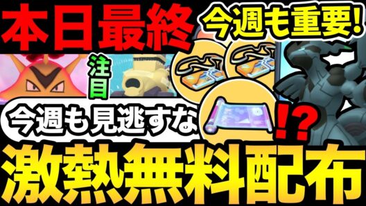 激熱な無料配布を見逃すな！今週も重要ポイントがたくさん！ゼクロムもヒトツキも楽しみ！【 ポケモンGO 】【 GOバトルリーグ 】【 GBL 】【  】