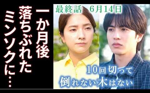 【10回切って倒れない木はない】最終話 別れから一カ月…落ちぶれたミンソクの…9話ドラマ感想、あらすじ、志尊淳、京本大我