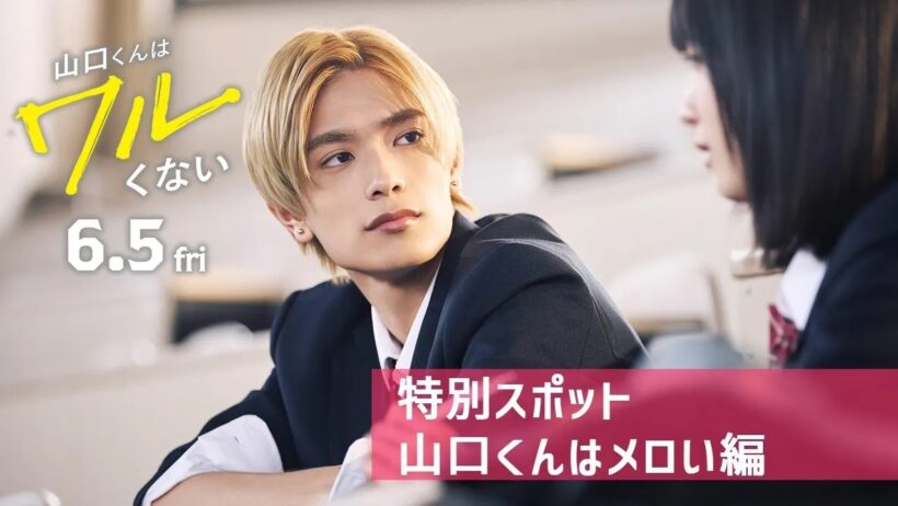 【新作1位👑満足度96％💖】映画『山口くんはワルくない』特別スポット：山口くんはメロい編