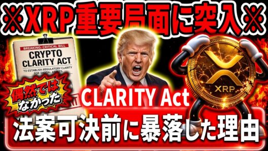 🟨XRPには一刻の猶予も残されていない🟨クラリティ法案の闇をお伝えします#xrp #リップル #暗号通貨
