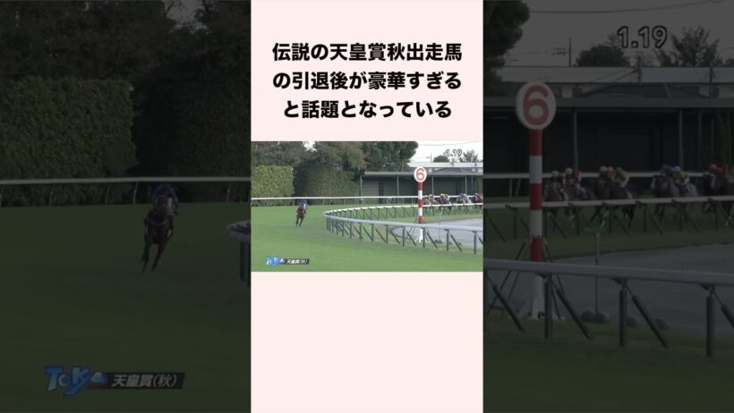 伝説の天皇賞秋出走馬の引退後が豪華すぎると話題となっている #競馬 #競馬予想 #shorts