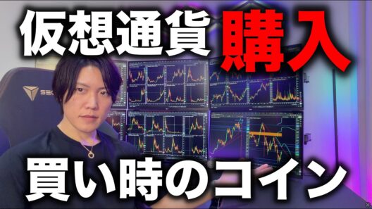 仮想通貨買いました。次のバブルで大きく資産を増やすためにどのコインをどのぐらい買えば良いか解説します。