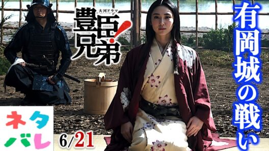 【豊臣兄弟!】ネタバレと比較して!ドラマとは違う最近研究の解釈:第24回軍師官兵衛!【ネタバレ注意】あらすじ予告|大河ドラマ|解説・考察|仲野太賀|池松壮亮|小栗旬|佳久創|浜辺美波|NHK