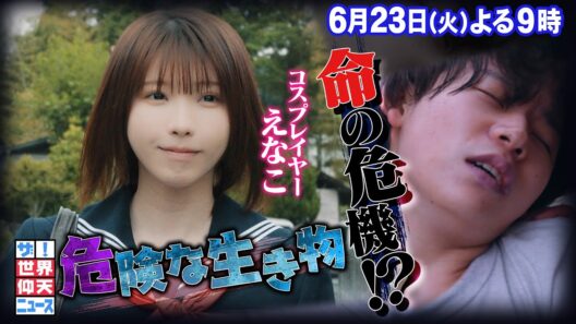 【公式】 ザ！世界仰天ニュース　知らないとヤバい！危険生物SP