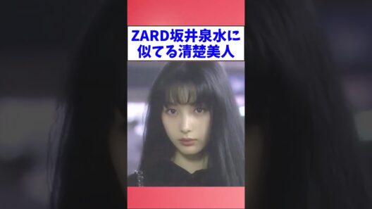 「負けないで」ZARD坂井泉水に似てる美人