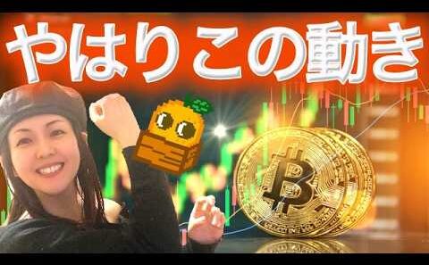 ビットコイン いつものパターン また儲かった