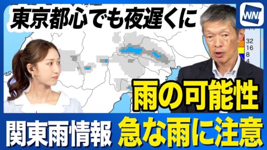 【雨情報】関東は午後からの急な雨に注意 東京都心も夜遅くに雨の可能性