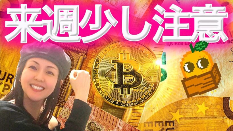 ビットコインはまだ底ではないのか 全利確したポジション公開するお