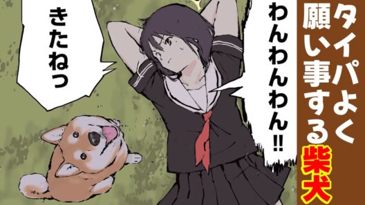 流れ星に効率よく願い事をする柴犬 【アニメ/漫画】 #世界の終わりに柴犬と #せか柴