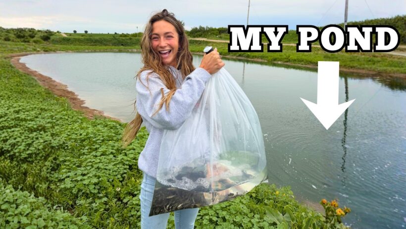 Stocking My Pond With Fish