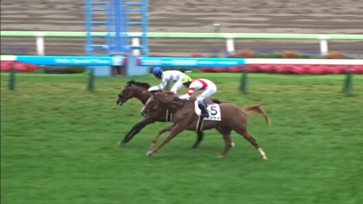 【来年のクラシック候補はここにいる】函館芝1800mに評判馬集結！アルデシンザンvs武豊イッペイvsデアグランツ【2歳新馬戦】