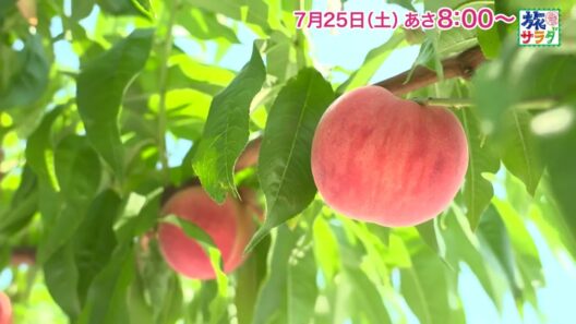 ロコレコは矢吹奈子！ゲストの旅は山下健二郎！「旅サラダ」7月25日（土）放送