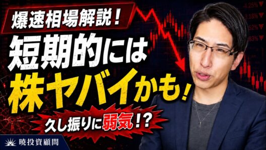 土曜日爆速相場解説！株ヤバイ？新しい恐怖指数を紹介！【VIXEQ】