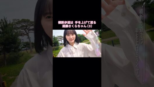 横断歩道は手を上げて渡る遠藤さくらちゃん(3)｜乃木坂46【乃木坂配信中】【さくさんぽ第10弾】