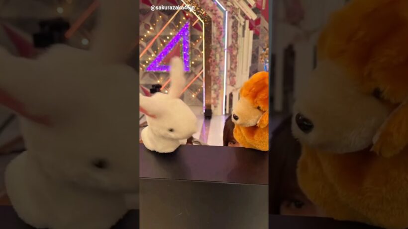 櫻坂46 パペット劇場♪