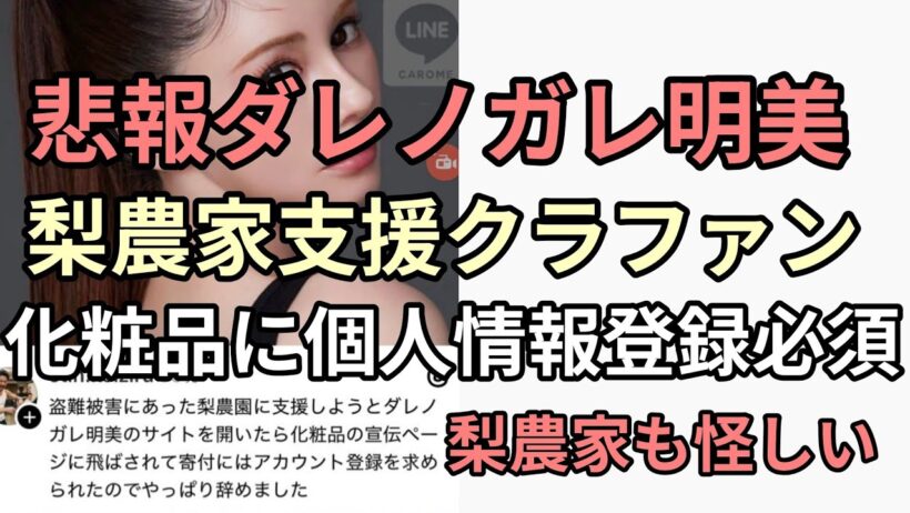 梨農園が怪しいしそれに群がるダレノガレ明美のクラファンがヤバい