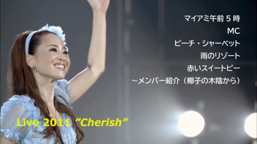 松田聖子 2011 Live / マイアミ午前5時 ～ MC ～ ピーチ・シャーベット ～ 雨のリゾート ～ 赤いスイートピー ～ バンドメンバー紹介 /