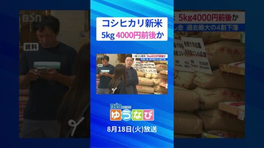 コメの仮渡し金決定 過去最大の4割下落「農業を辞める人が増える可能性も」新潟県