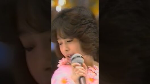 松田聖子 チェリーブラッサム 花パックン 1980年12月