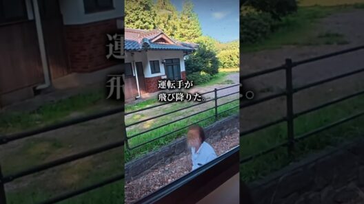 HISバスツアーの山道で突如異音が響いた直後の現場│HISバスツアーでいくオトナの修学旅行 #shorts #07