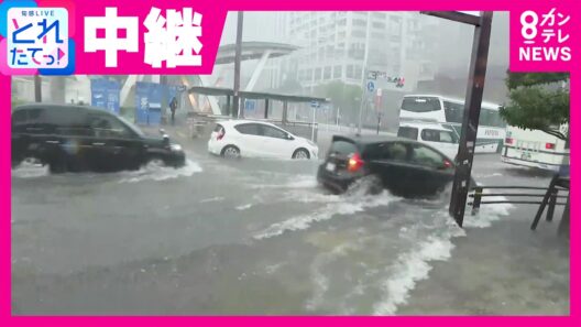 【中継】「わずか30分で道路が水に浸かるまで変化」名古屋・栄で豪雨　各地で“災害級の雨”に警戒を　愛知県西部に「線状降水帯」が発生｜旬感LIVE とれたてっ！〈カンテレNEWS〉