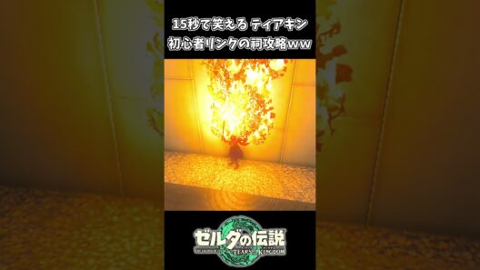 初心者リンクの祠攻略が面白すぎるｗｗ【ゼルダの伝説 ティアーズ オブ ザ キングダム】