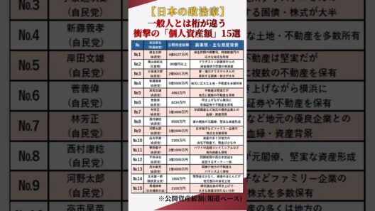 【別世界】一般人とは桁が違う…！日本の政治家「ガチの個人資産額」衝撃の15選 #shorts