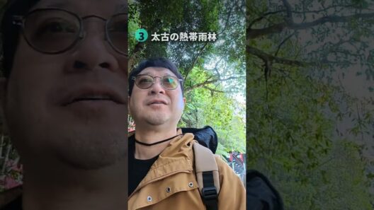 世界一急な鉄道52度！ツアーなしで行くブルーマウンテン #shorts