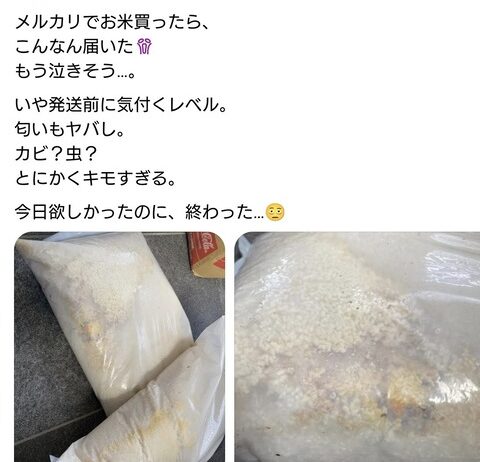 【画像】ママさん咽び泣く「メルカリでお米買って届いたのがこれ」（※閲覧注意）