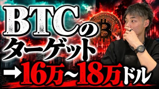【ビットコインの今回バブルの戦略】　最高値の価格とどの期間でつけるか？の話中心です。
