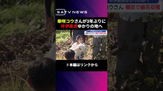 柴咲コウさんが井伊直虎ゆかりの地、浜松で綿花収穫体験#shorts