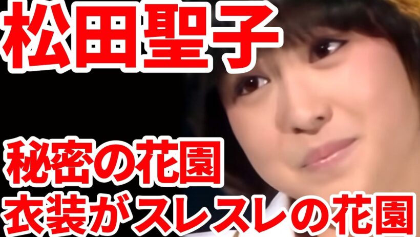 オケ消 松田聖子 秘密の花園 オケを消して歌声だけにしてみた！ 気になるコスチューム！思春期の曖昧な憧れを爽やかに表現！ボーカルオンリー