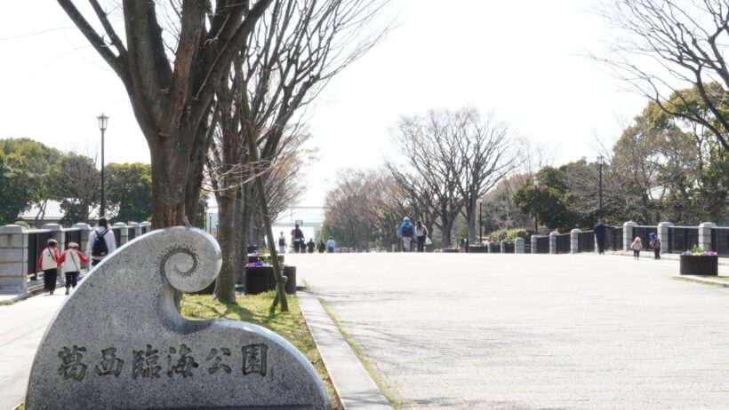 「地球上で最悪の侵略的植物」 葛西臨海公園に漂着した“特定外来生物”に「被害が広がりませんように」 - オトナンサー