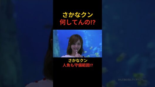 【懐かCM Fit's⑪】さかなクン、何してんの!?🤣 佐々木希とまさかの共演！Fit's水族館篇 #shorts
