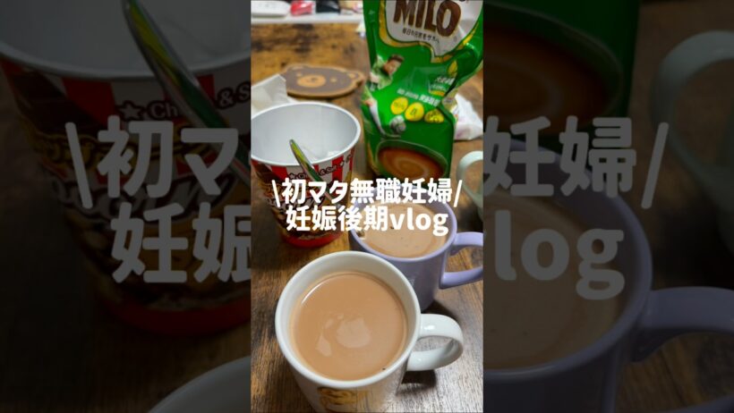 妊娠後期（28週目）のとある日のvlog🎥🎞 #初マタ #プレママ #妊娠後期 #おうちごはん #生活音