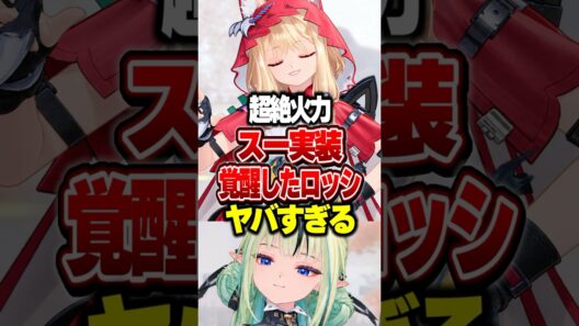 【超絶火力】スー実装で覚醒したロッシがヤバすぎる【エンドフィールド】